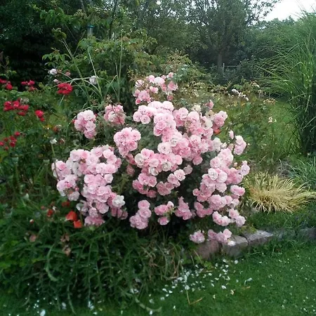 Chez Catherine - Chaumiere Normande